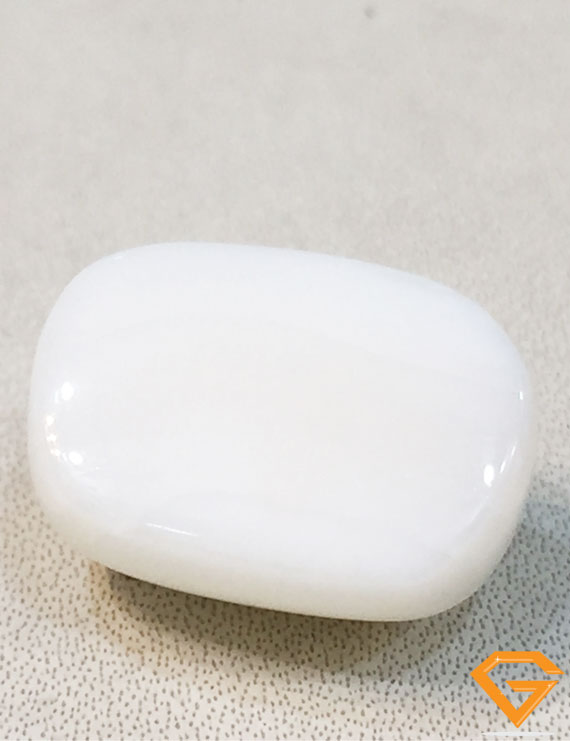22.25 ratti/19.93 ct Natural Certified  White Coral/सफ़ेद मूंगा